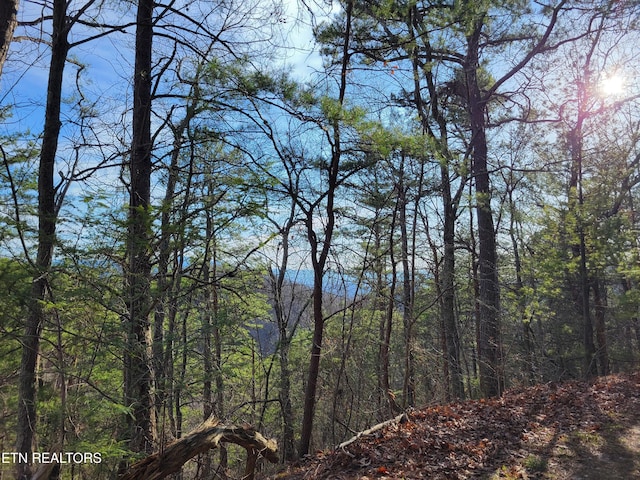 Listing photo 2 for LOT9 Eagle Pt, Sevierville TN 37876