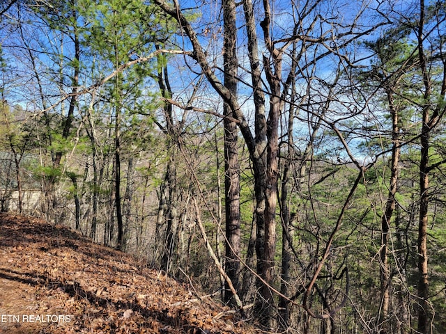 Listing photo 3 for LOT9 Eagle Pt, Sevierville TN 37876