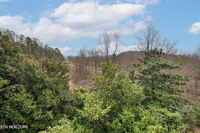 1081 Cove Rd Unit 832, Sevierville, TN 37876 - photo 10