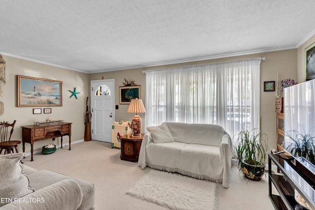 living room with a textured ceiling, carpet flooring, baseboards, and ornamental molding