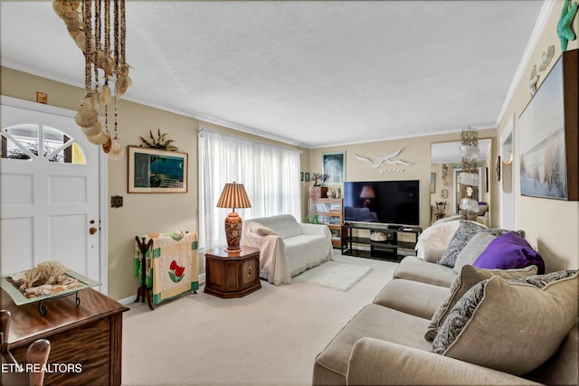 living area featuring baseboards, carpet, ornamental molding, and a textured ceiling