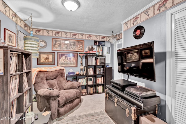 interior space featuring carpet and a textured ceiling