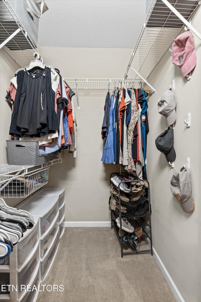 walk in closet with carpet flooring