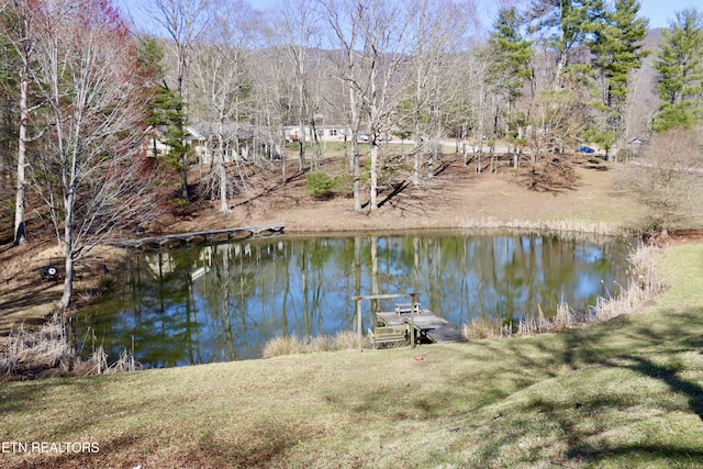 view of dock featuring a yard and a water view