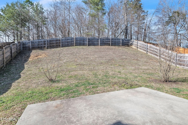 view of yard featuring a patio and a fenced backyard