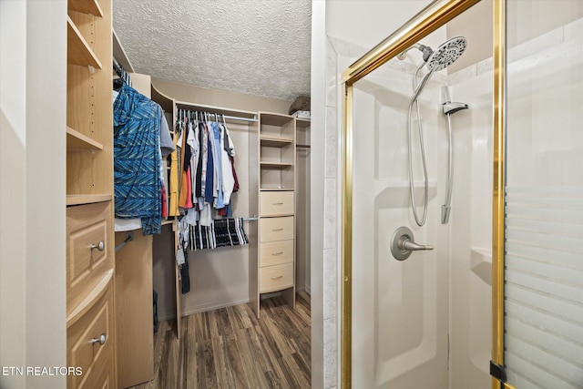 walk in closet featuring dark wood-type flooring