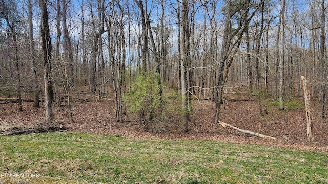 210 E Shore Dr, Rockwood TN, 37854 land for sale