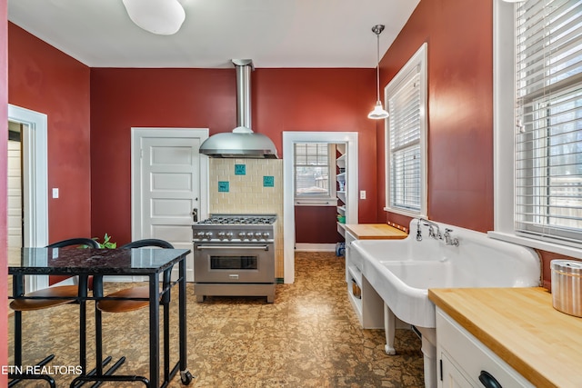 kitchen with white cabinetry, a healthy amount of sunlight, backsplash, and high end stainless steel range