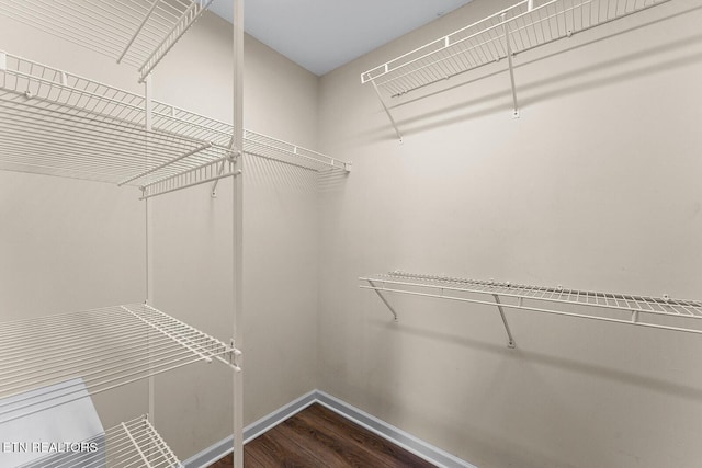 spacious closet with dark wood-style flooring