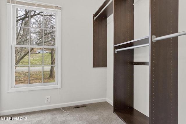 spacious closet featuring visible vents and carpet floors