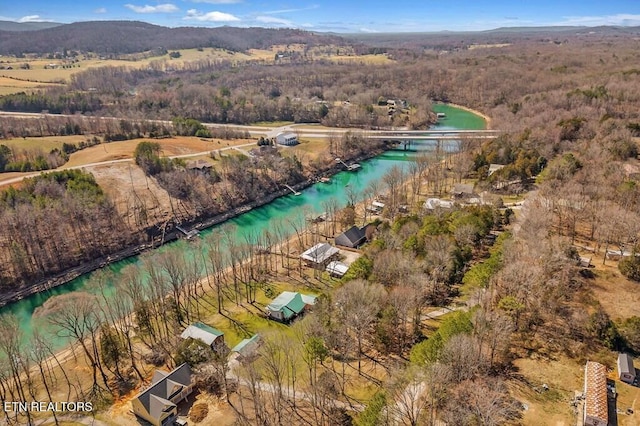 bird's eye view featuring a view of trees and a water view