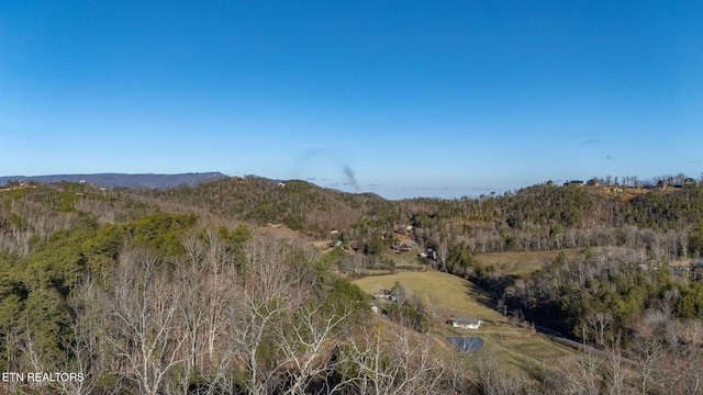 property view of mountains