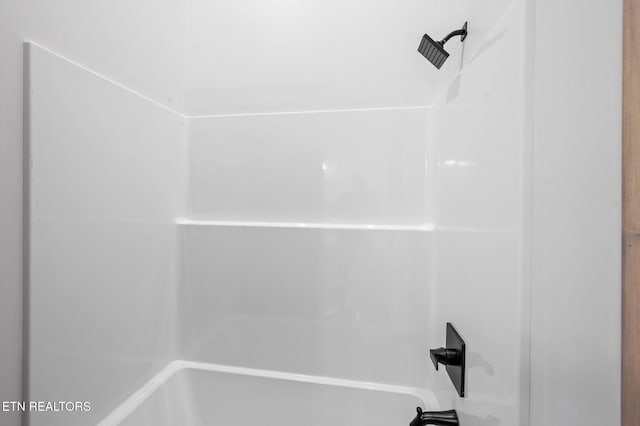 room details with shower / washtub combination