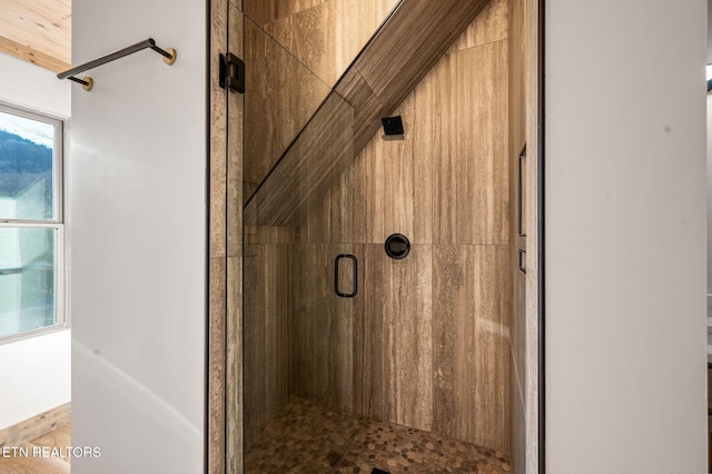 full bathroom with a wealth of natural light and a stall shower