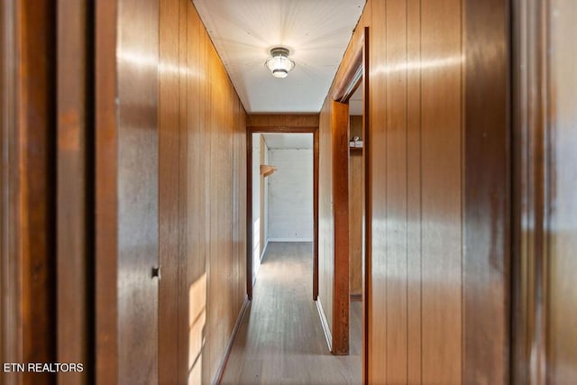 hallway with wood walls and wood finished floors