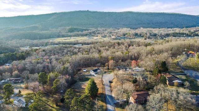 bird's eye view featuring a view of trees and a mountain view