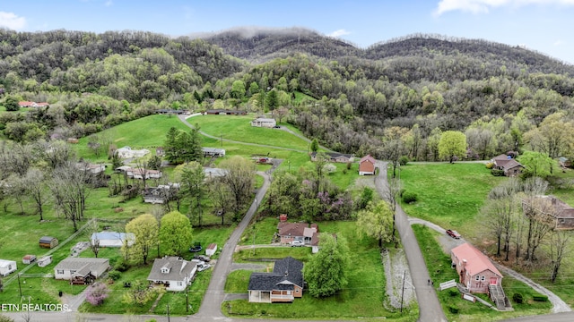 108 Burke St, Pennington Gap, VA 24277 - bird's eye view with a forest view and a mountain view