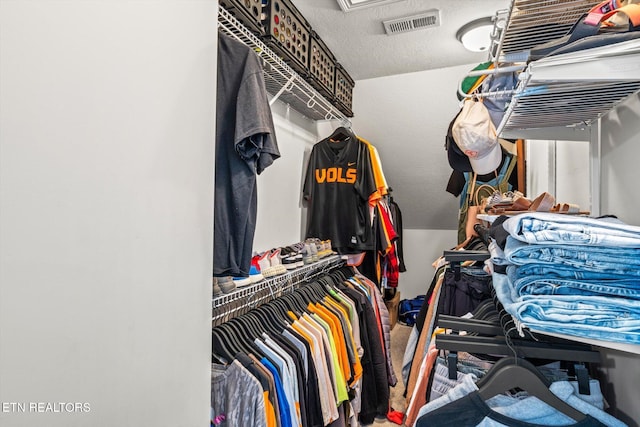 spacious closet with visible vents