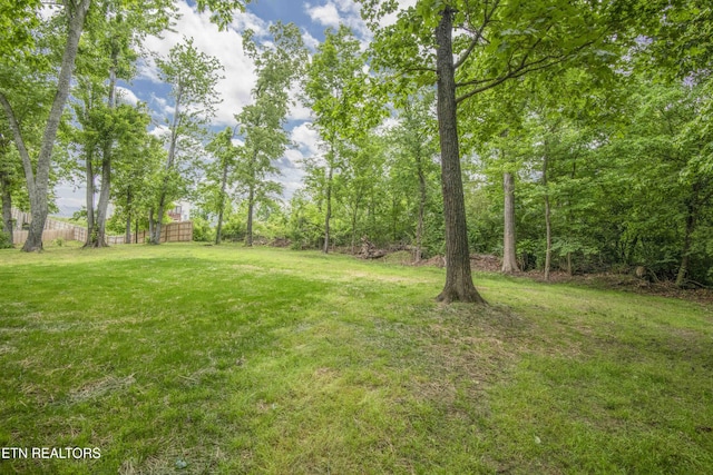 view of yard featuring fence