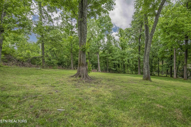view of yard featuring a view of trees