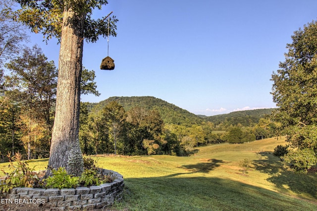 property view of mountains with a forest view