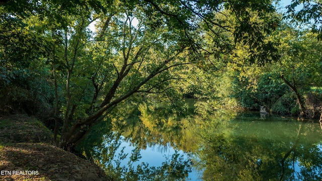 view of water feature featuring a view of trees