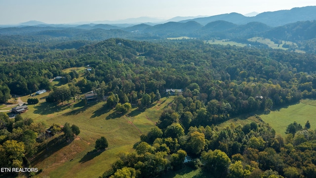 birds eye view of property featuring a view of trees and a mountain view