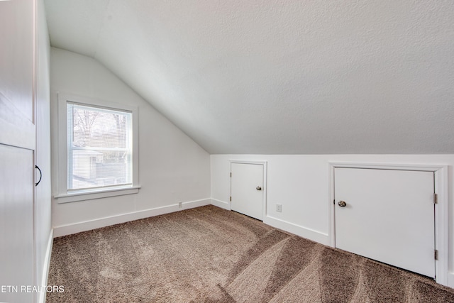 additional living space featuring vaulted ceiling, baseboards, carpet floors, and a textured ceiling