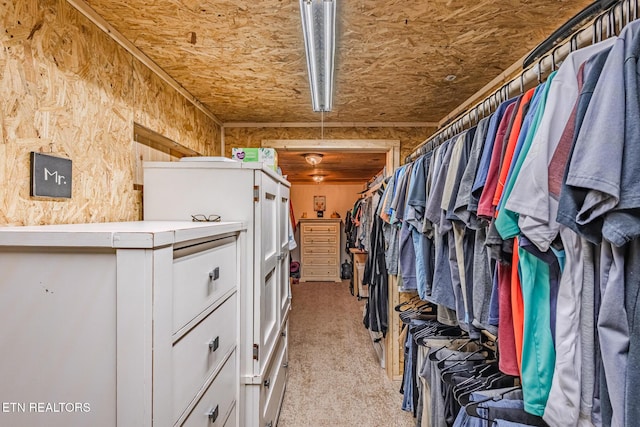 walk in closet with light colored carpet