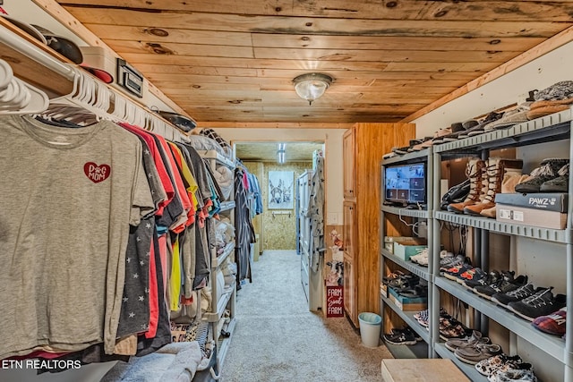 interior space featuring carpet flooring