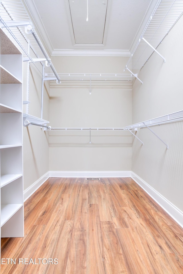 walk in closet with attic access, wood finished floors, and visible vents