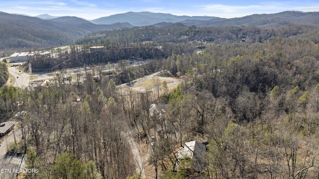 birds eye view of property featuring a forest view and a mountain view