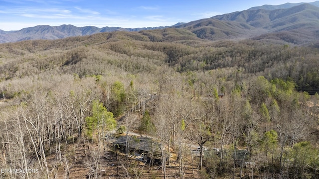 mountain view with a view of trees