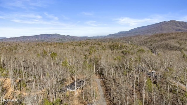 mountain view with a forest view