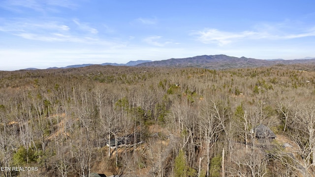 property view of mountains with a wooded view