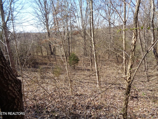 0 Holston River Dr, Rutledge TN, 37861 land for sale