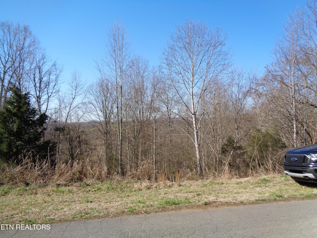 Listing photo 3 for 0 Holston River Dr, Rutledge TN 37861