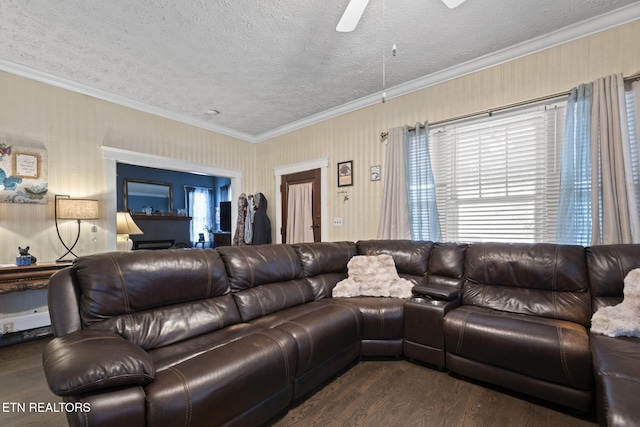 living area with dark wood finished floors, ornamental molding, a ceiling fan, and a textured ceiling