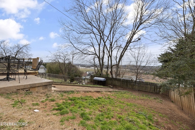 view of yard featuring a fenced backyard and a patio area