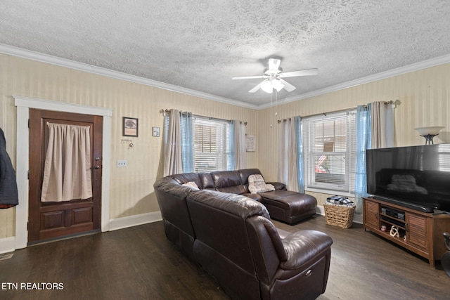 living room featuring wood finished floors, baseboards, ceiling fan, a textured ceiling, and crown molding