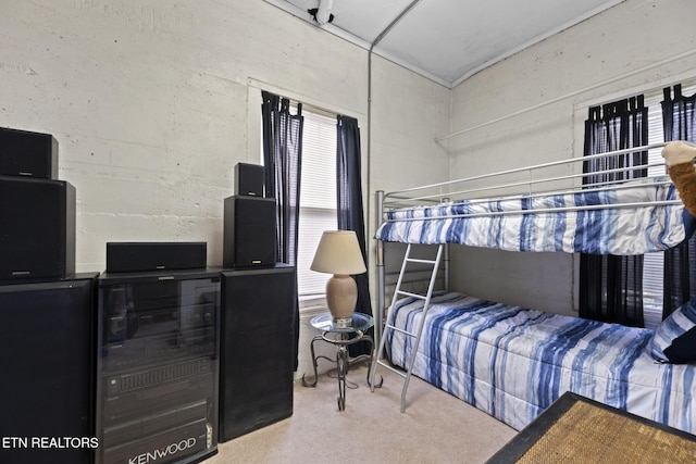 bedroom featuring carpet floors