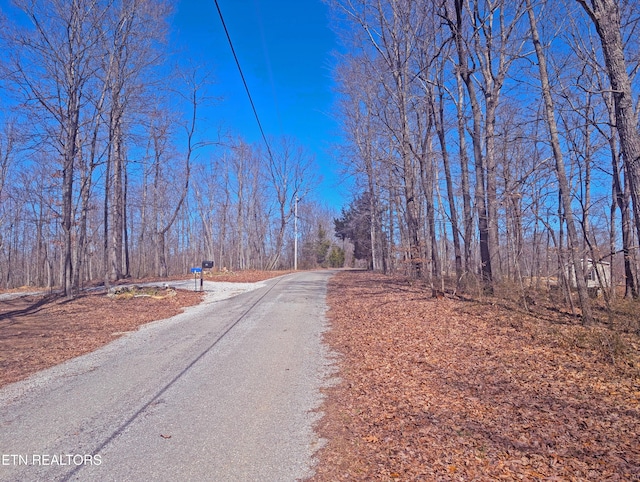 Listing photo 3 for 8.75AC Rattlesnake Rd, Mcminnville TN 37110