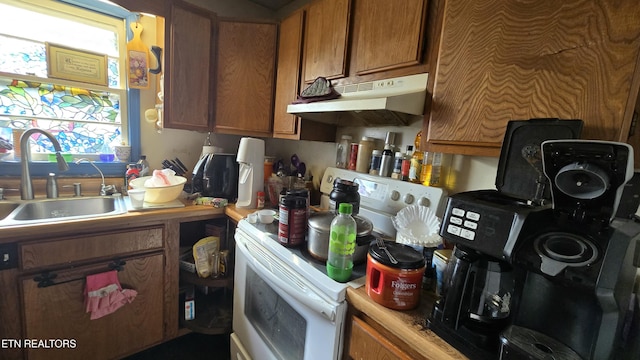 kitchen featuring under cabinet range hood, a sink, white electric stove, brown cabinetry, and light countertops