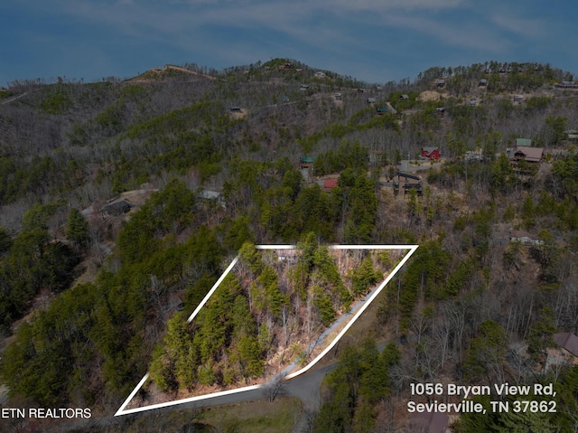 aerial view featuring a mountain view