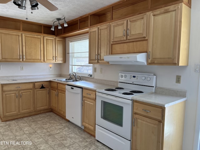 107 W Pawley Rd, Oak Ridge, TN 37830 - kitchen with ceiling fan, a sink, white appliances, light countertops, and extractor fan