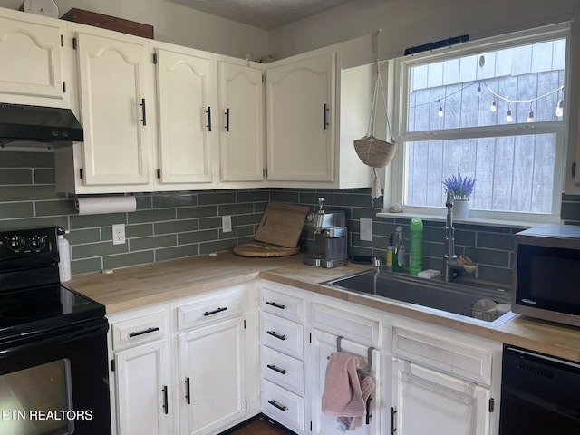 kitchen featuring stainless steel microwave, under cabinet range hood, black dishwasher, electric stove, and a sink