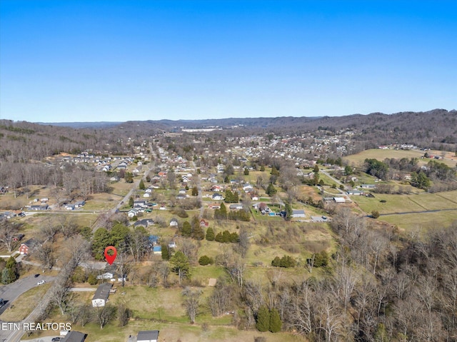 aerial view with a mountain view