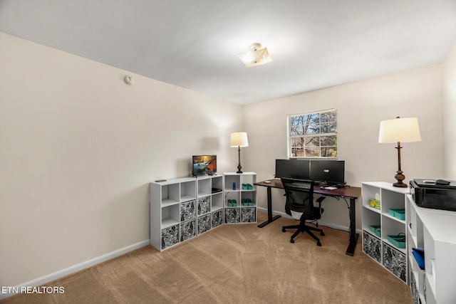 office area featuring baseboards and carpet flooring