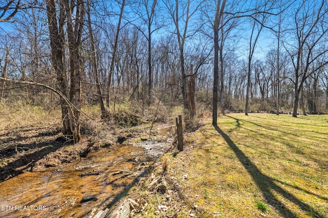 view of local wilderness