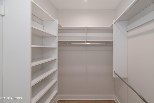 view of walk in closet